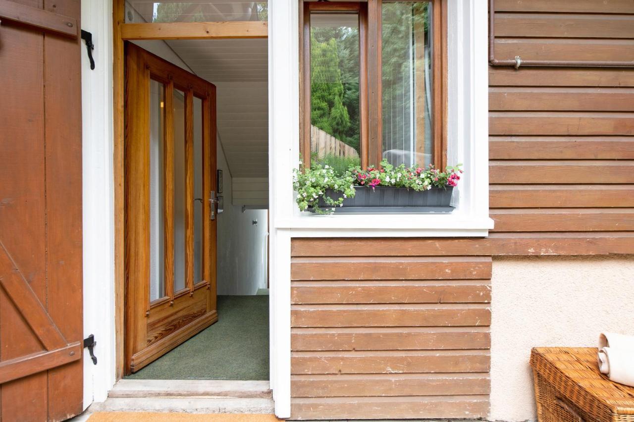 Haus Bergruh Fuchsbau Lägenhet Todtnauberg Exteriör bild
